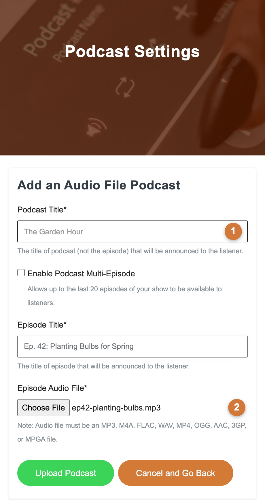 Example screenshot adding an audiofile
